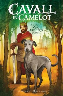 Cavall in Camelot #1 Read online