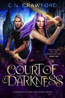 Court of Darkness: A Demons of Fire and Night Novel (Institute of the Shadow Fae Book 2)