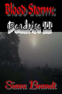 Deadrise (Book 2): Blood Storm Read online