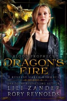 Dragon's Fire: A Reverse Harem Romance