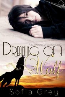 Dreaming of a Wolf (Snowdonia Wolves) Read online