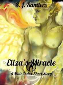 Eliza's Miracle Read online