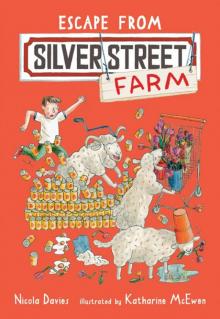 Escape from Silver Street Farm Read online