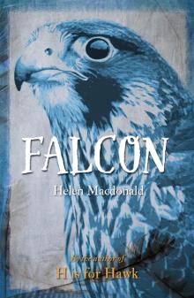 Falcon Read online