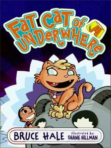 Fat Cat of Underwhere Read online