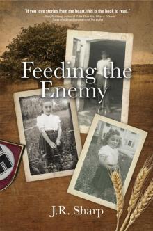 Feeding the Enemy Read online