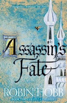 FF3 Assassin’s Fate Read online