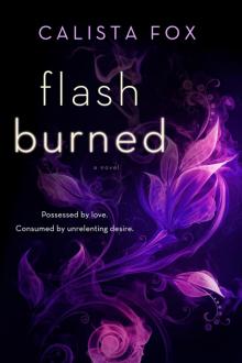 Flash Burned Read online