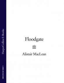 Floodgate Read online