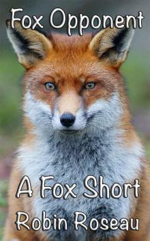 Fox Opponent (The Fox Shorts Book 3)