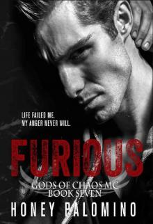 FURIOUS: GODS OF CHAOS MC (BOOK SEVEN) Read online