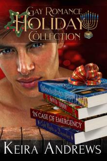 Gay Romance Holiday Collection Read online