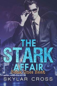 Heat (The Stark Affair Book 1) Read online