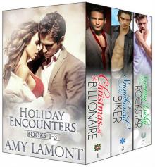 Holiday Encounters Books 1-3 Omnibus Read online