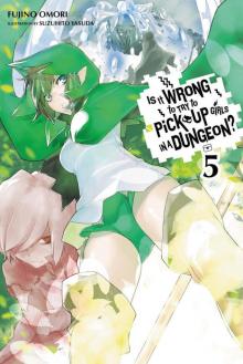 Is It Wrong to Try to Pick Up Girls in a Dungeon?, Vol. 5 Read online