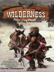 King of the Mountain (Wilderness # 1)
