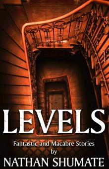 Levels: Fantastic and Macabre Stories Read online