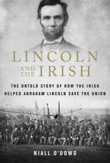 Lincoln and the Irish Read online