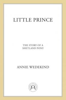 Little Prince - The Story of a Shetland Pony Read online