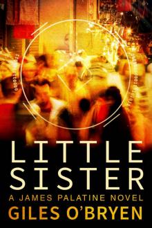 Little Sister (A James Palatine Novel) Read online