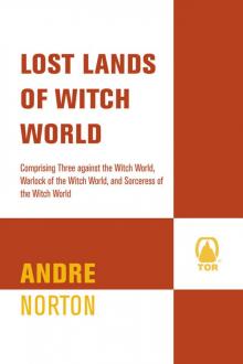 Lost Lands of Witch World Read online