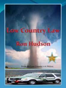 Low Country Law Read online