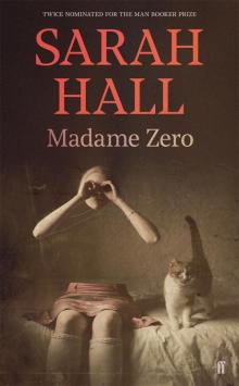 Madame Zero Read online
