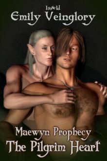 Maewyn's Prophecy: Pilgrim Heart Read online