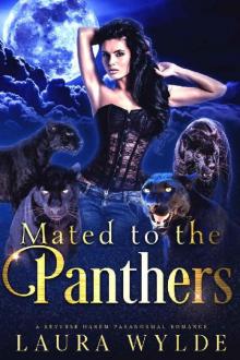 Mated to the Panthers: A Reverse Harem Paranormal Romance (Panther Shifters of the Amazon Book 2) Read online