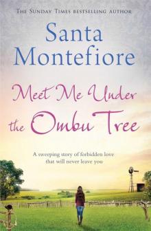 Meet Me Under The Ombu Tree Read online