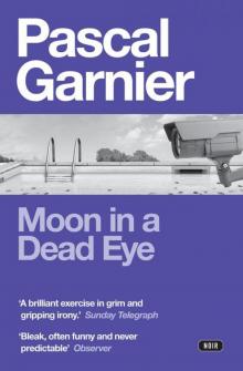 Moon in a Dead Eye Read online