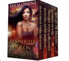 Moonlight Dragon Collection: Urban Fantasy Read online