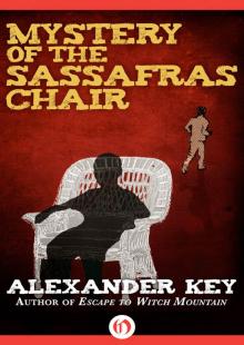 Mystery of the Sassafras Chair Read online