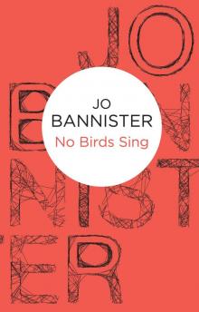 No Birds Sing Read online