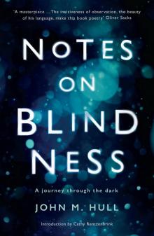 Notes on Blindness Read online