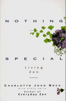 Nothing Special: Living Zen Read online