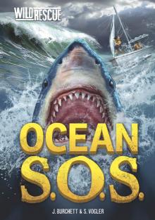 Ocean S. O. S. Read online