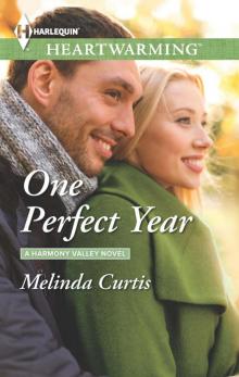 One Perfect Year Read online