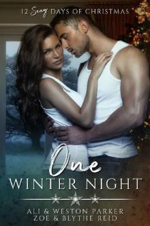 One Winter Night: A Sexy Bad Boy Holiday Novel (The Parker's 12 Days of Christmas) Read online