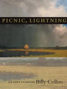 Picnic, Lightning Read online