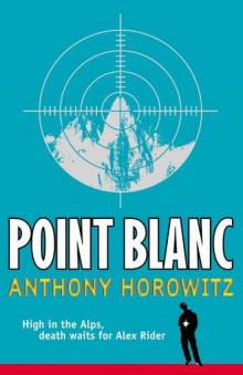 Point Blank Read online