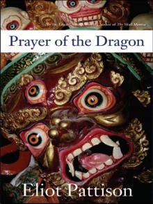 Prayer of the Dragon is-5 Read online