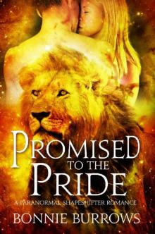 Promised To The Pride Read online