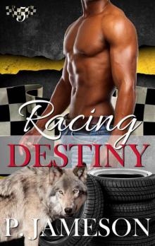 Racing Destiny (Dirt Track Dogs Book 5) Read online