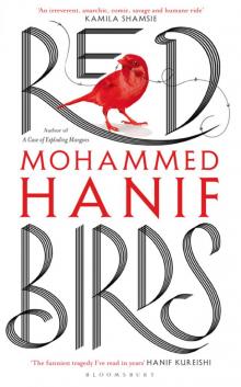 Red Birds Read online