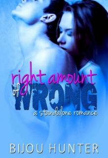 Right Amount of Wrong: A Standalone Romance Read online