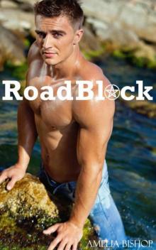 RoadBlock Read online