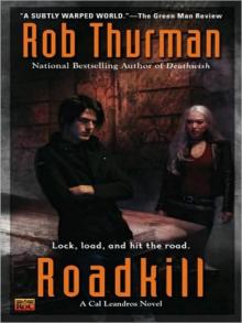 Roadkill: A Cal Leandros Novel (Cal and Niko) Read online