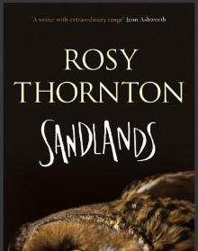 Sandlands Read online