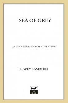 Sea of Grey Read online